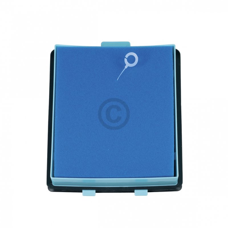 Filtro Motore Per Philips PowerPro CRP745/01, Sostitutivo 432200533151 - 432200533152 - 432200533153, Di Daniplus
